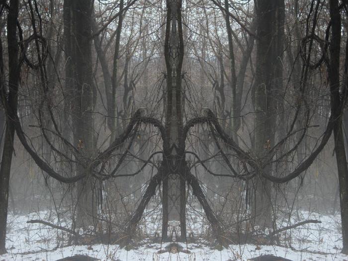 manipulated photo of trees in winter